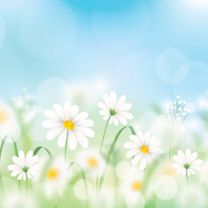 Single Name Meaning Print With A4 Frame