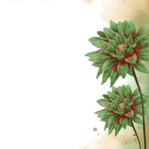 Small Name Meaning Frame